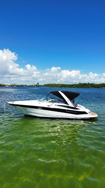 
								Crownline 300 LS 2008 full									