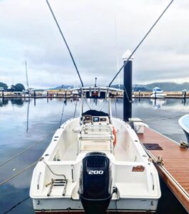 Sea Hunt 22 2006