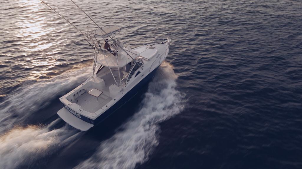 Apex Yachts Quepos 350 2018